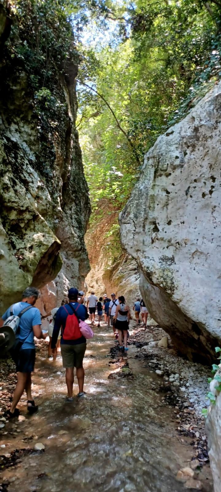 IMG F0c8a01fe4ad058736630fc384e7d106 V