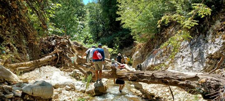 IMG B7786ac8058214879de4cdf8cf166a7e V