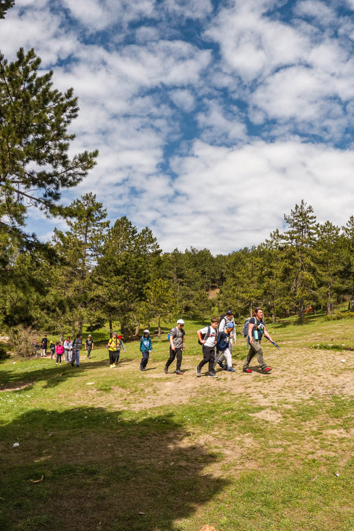 Gopr2735hirespaidiko Site Gallery