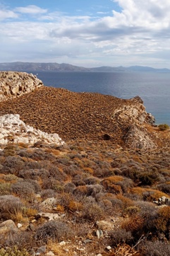 2025 12 11 12 17 23 240