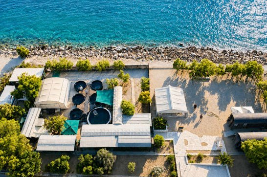 Archelon Glyfada New Trekking Hellas Archelon Conservation Visit