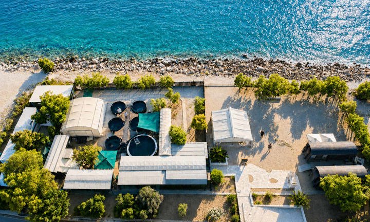 Archelon Glyfada New Trekking Hellas Archelon Conservation Visit