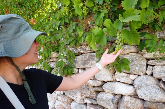 P7110178 Naxos Hike Pente Xoria