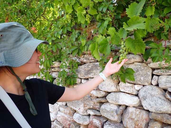 P7110178 Naxos Hike Pente Xoria