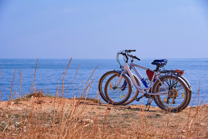 Summer Sea Cycling 949324