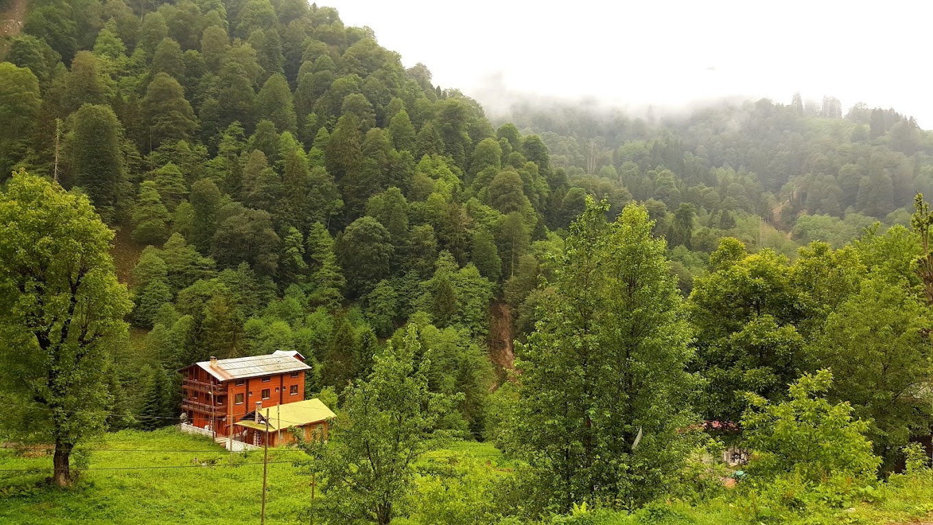 Ayder Yeşil Vadi Otel