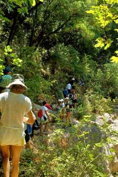 IMG 4548Ef0b9948324b1e865ece040368d4 V