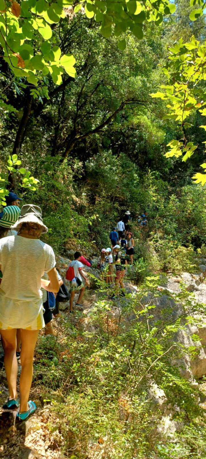 IMG 4548Ef0b9948324b1e865ece040368d4 V