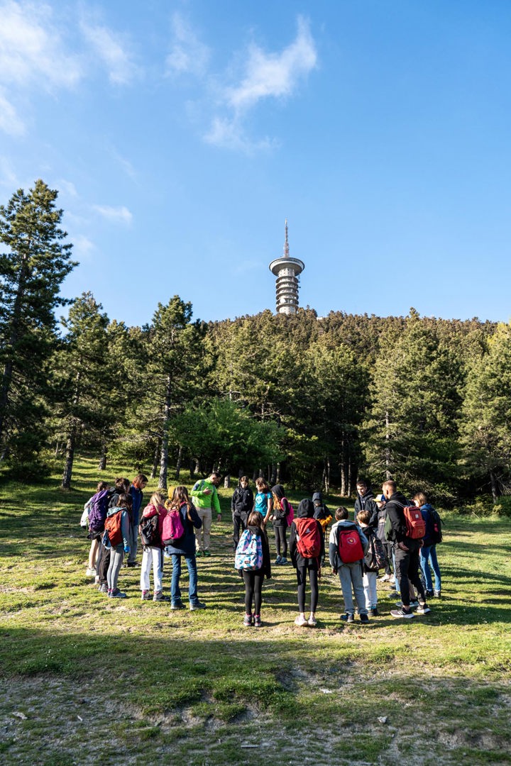 Dsc07225hirespaidiko Site Gallery