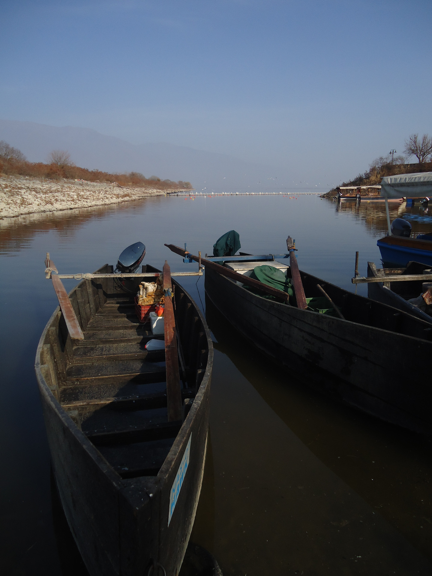 Ψαρόβαρκες Στη Λίμνη Κερκίνηolympus Lake Kerkini Site Gallery
