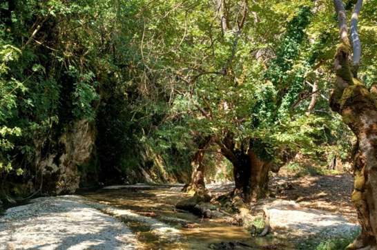 IMG 671Fdf962d937e3012493636acbd2ca4 V