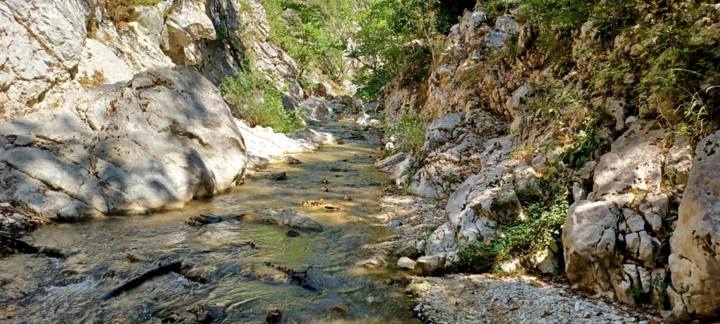 IMG Ee44954485f53c9fa555a471fcbe424c V