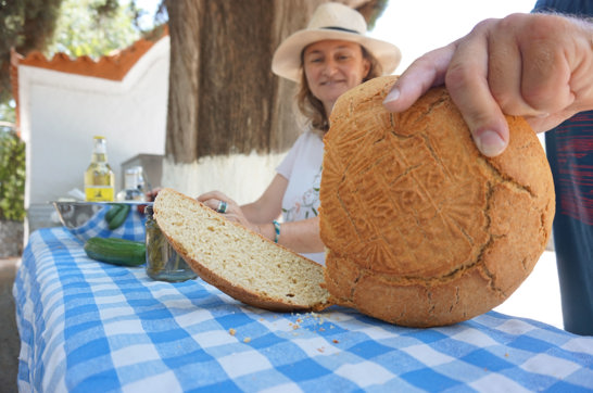 DSC02690 Rhodes Traditions Olive Oil Nature Secrets Site Gallery