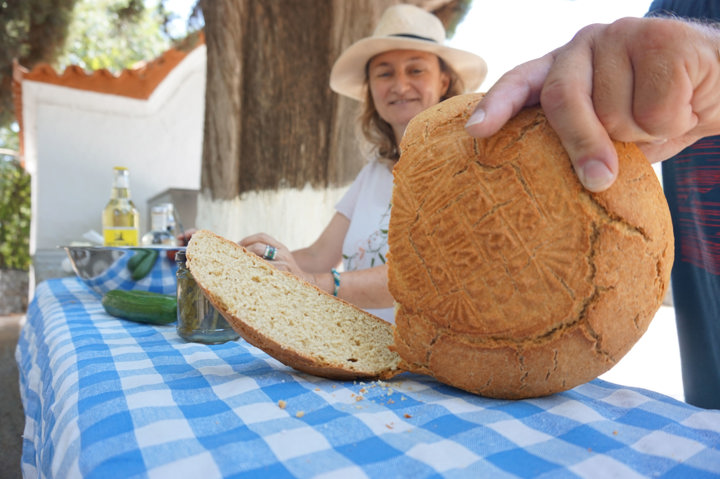 DSC02690 Rhodes Traditions Olive Oil Nature Secrets Site Gallery