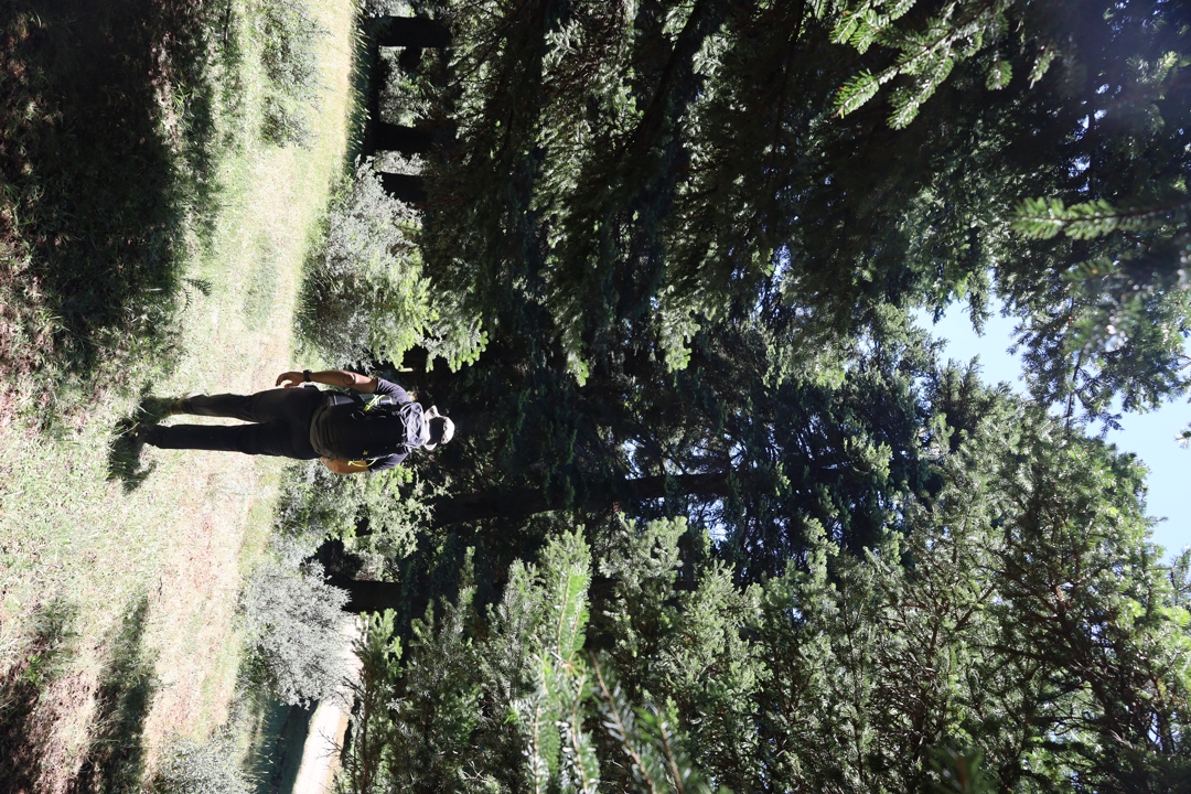 IMG 9707