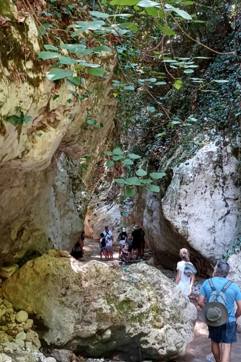 IMG 147C238ef26a851cd8148c7902fb0990 V