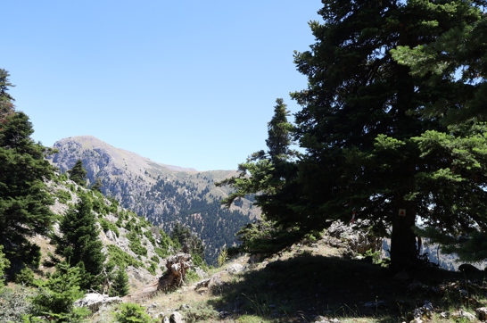 IMG 9721 (1)