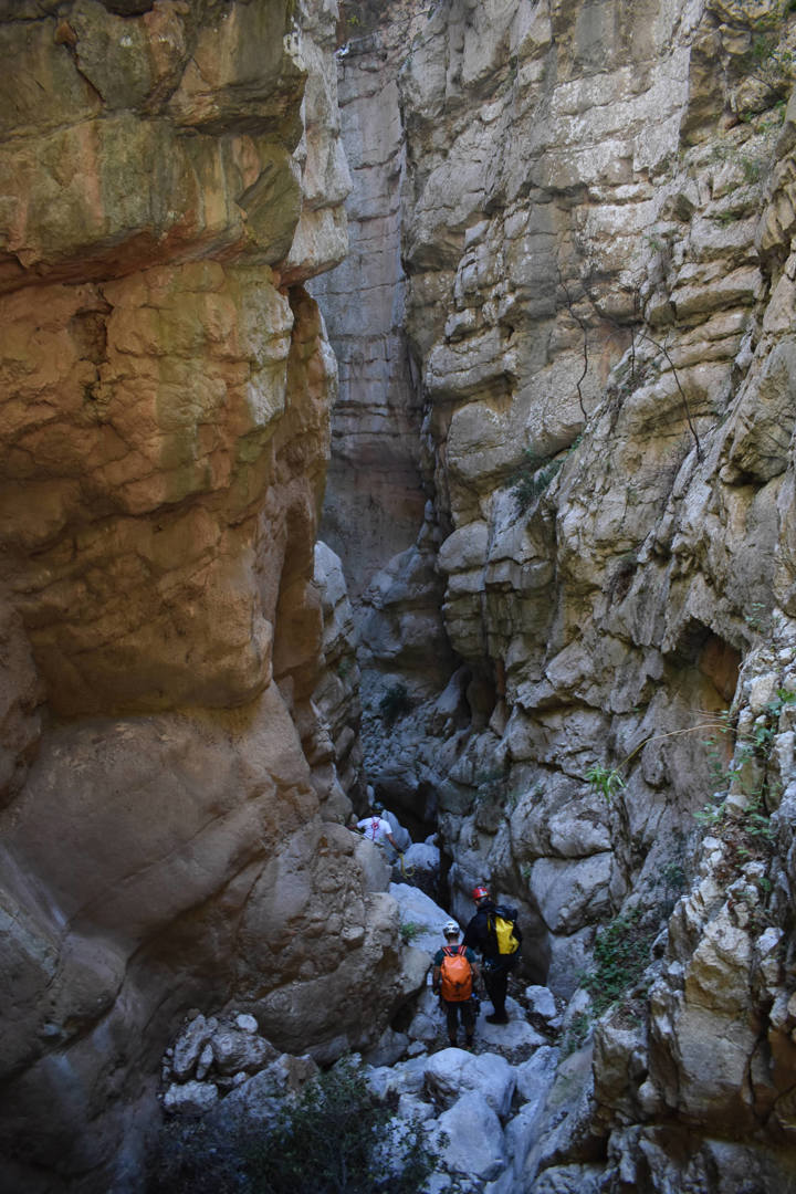 Dsc 0025 Sitegallery