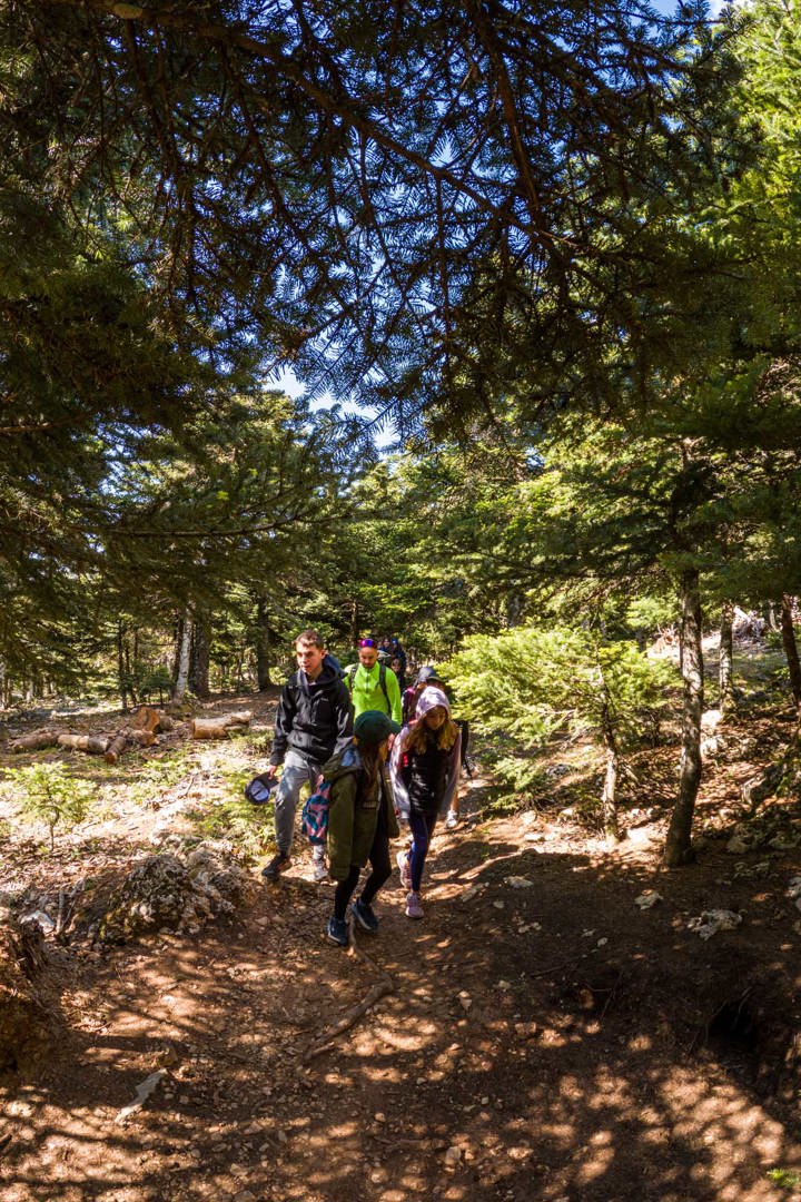 Gopr9592hirespaidiko Site Gallery