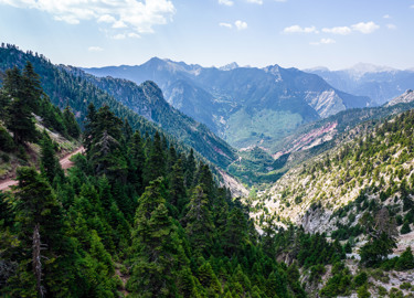DJI 0438Site Gallery