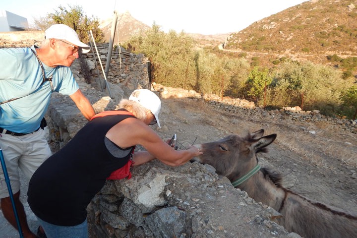 DSCN2747 Picturesque Naxos Hike Sitegallery 26