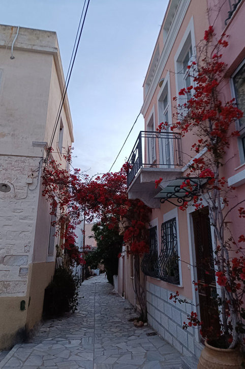 Local food tasting in Syros