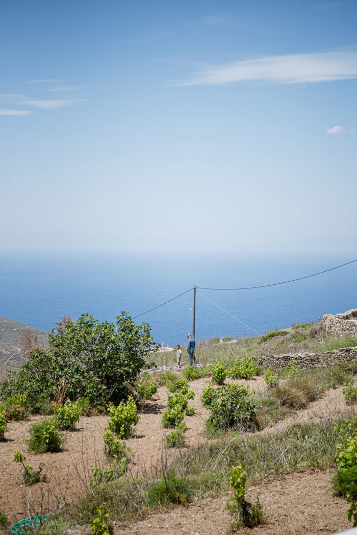 Chatzakis winery Syros wine tasting photo