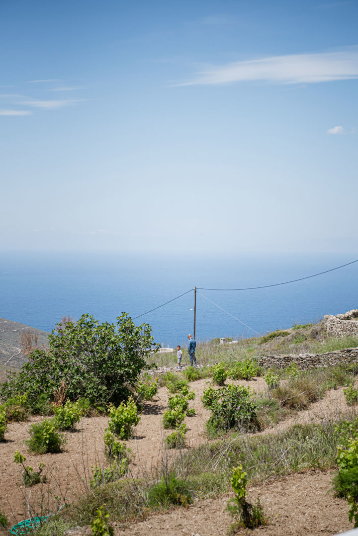 CHATZAKIS WINERY (5) Country Hike Syros Wine Tasting Sitegallery