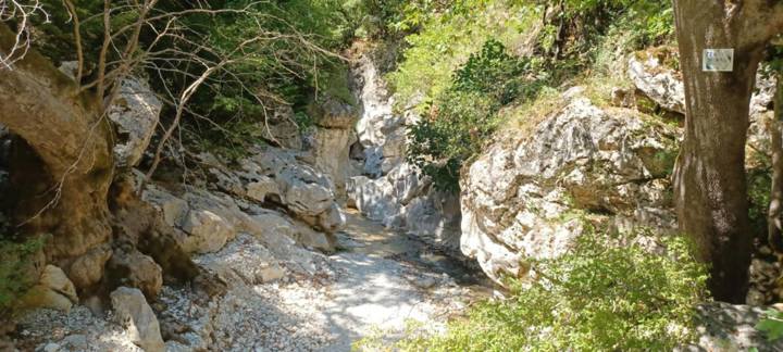 IMG 59De3554086a3b5fd5bc9cea0d474cec V