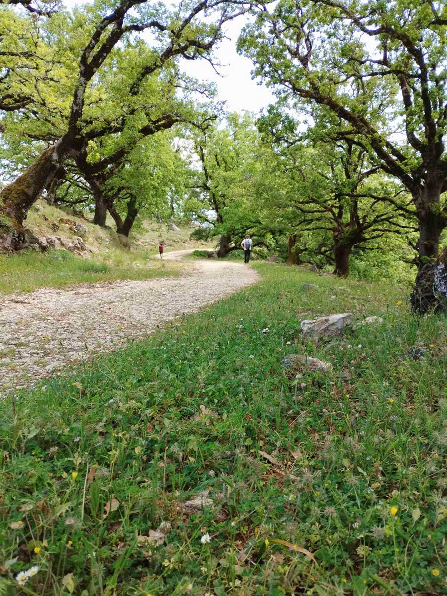 Εικόνα Viber 2024 08 12 11 37 28 374Lefkada Hike Ancient Path