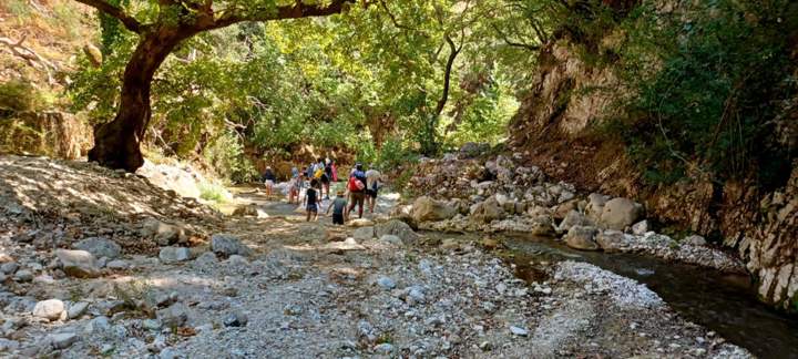 IMG 7B6edb47fc71f94885882eb81a2139d9 V