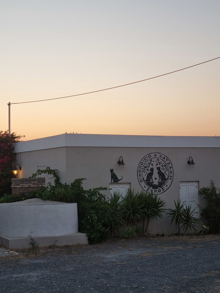 20250718 204222 Country Hike Syros Wine Tasting Sitegallery