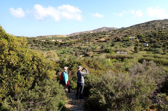 P4090234 Naxos Hike Pente Xoria