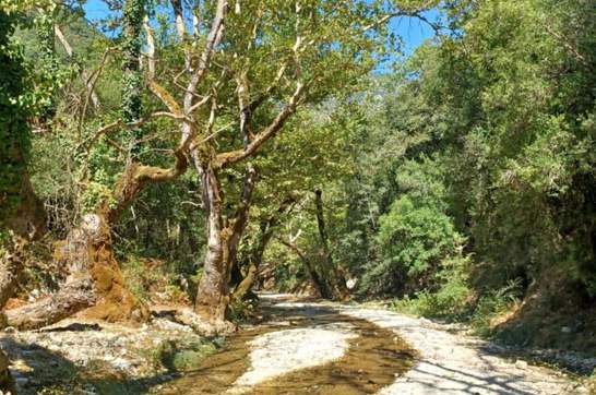 IMG 6Ae803012a7d70d1ce73db2a90e6b63c V