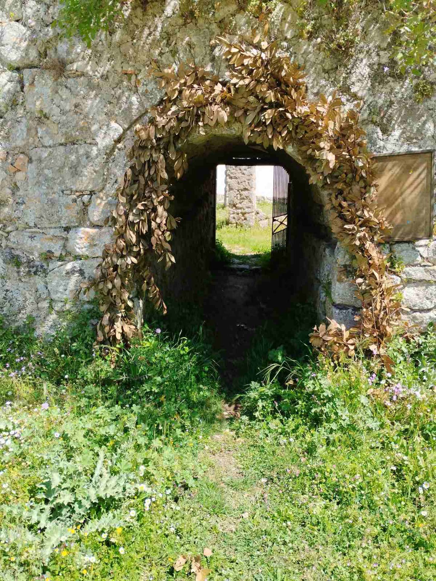 Εικόνα Viber 2024 08 12 11 37 28 998Lefkada Hike Ancient Path