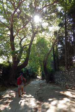 DSCN3208 Naxos Hike Pente Xoria