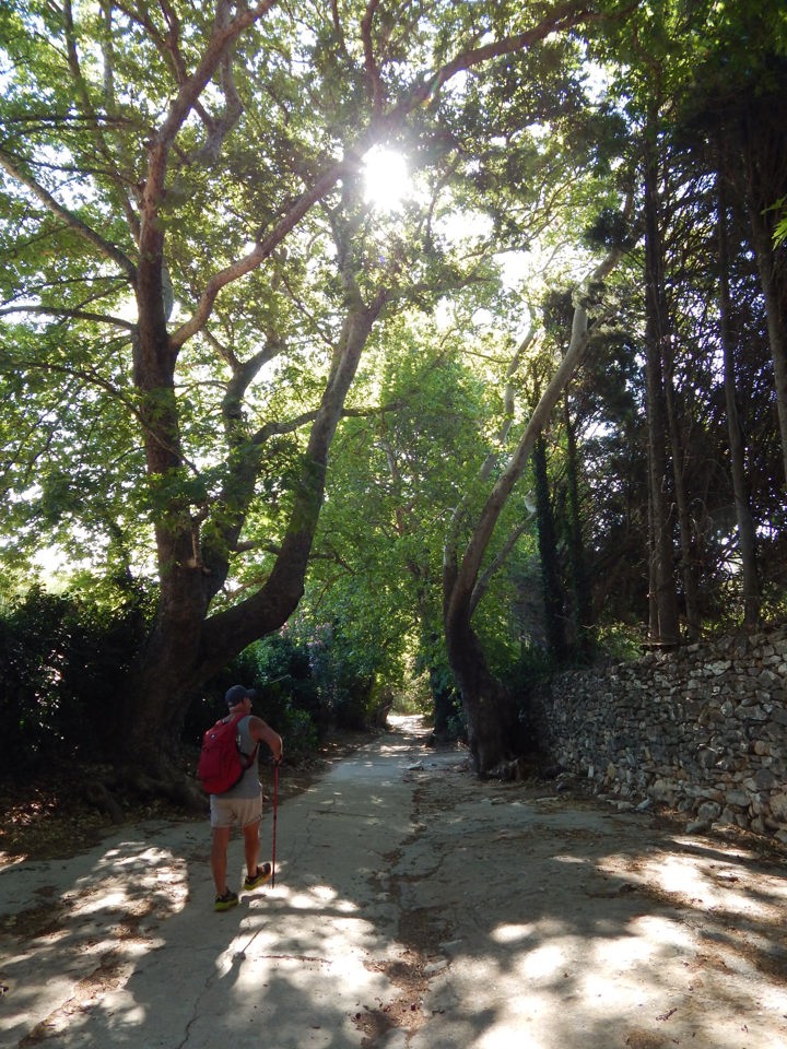 DSCN3208 Naxos Hike Pente Xoria
