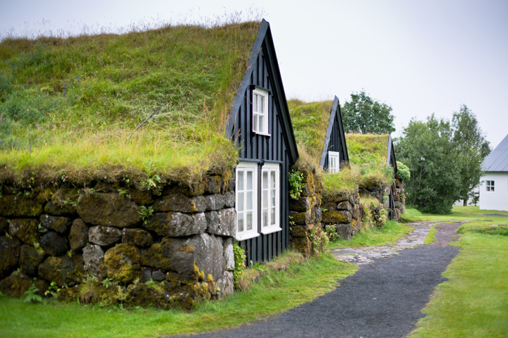 Overgrown Rural Icelandic House 796510
