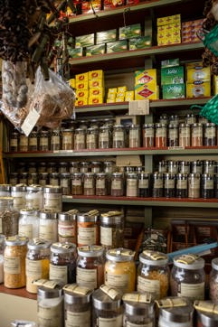 Dsc00701sitegallery 1