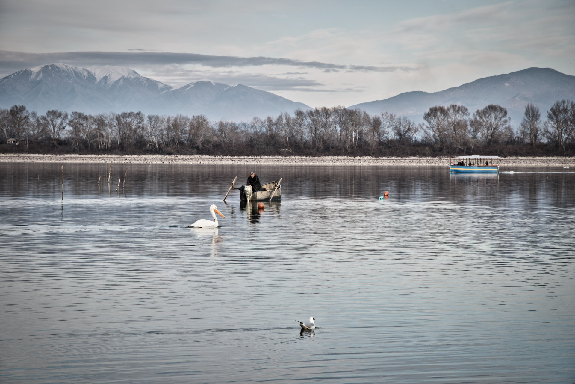 Υγροβιότοπος Κερκίνηolympus Lake Kerkini Site Gallery