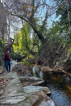 IMG 1893 Naxos Hike Pente Xoria