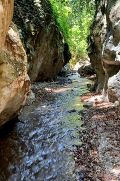 IMG 610400Dae427236c61e03f1f537edbce V