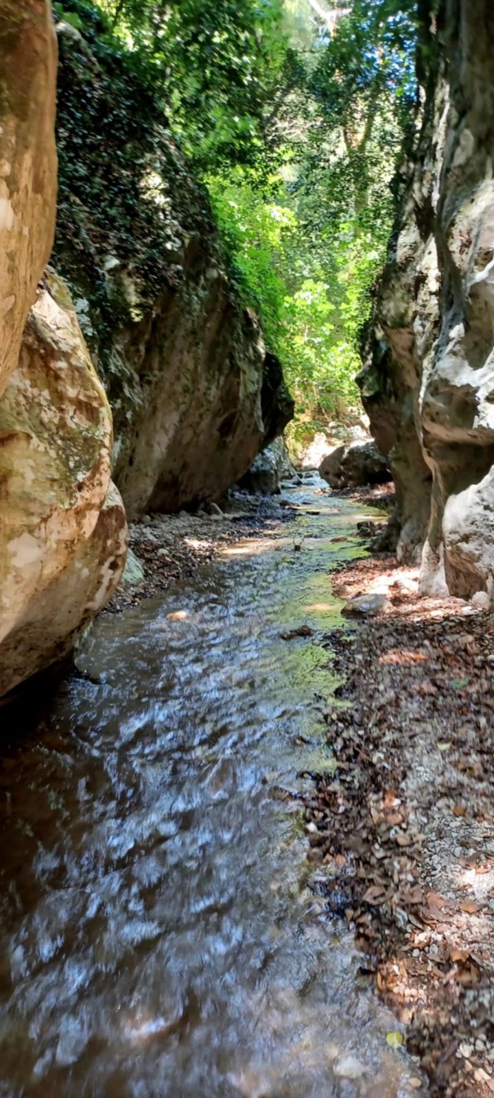 IMG 610400Dae427236c61e03f1f537edbce V