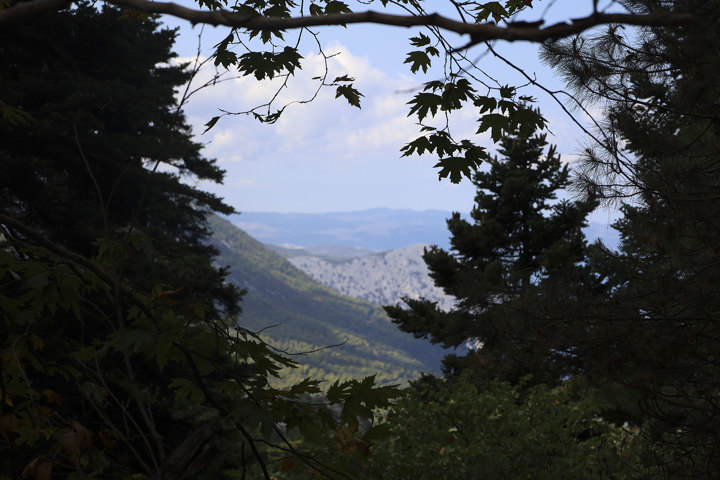 Hiking Mount Pyxarias Evia Greece 14