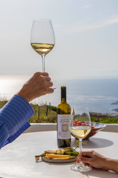 CHATZAKIS WINERY (9) Country Hike Syros Wine Tasting Sitegallery