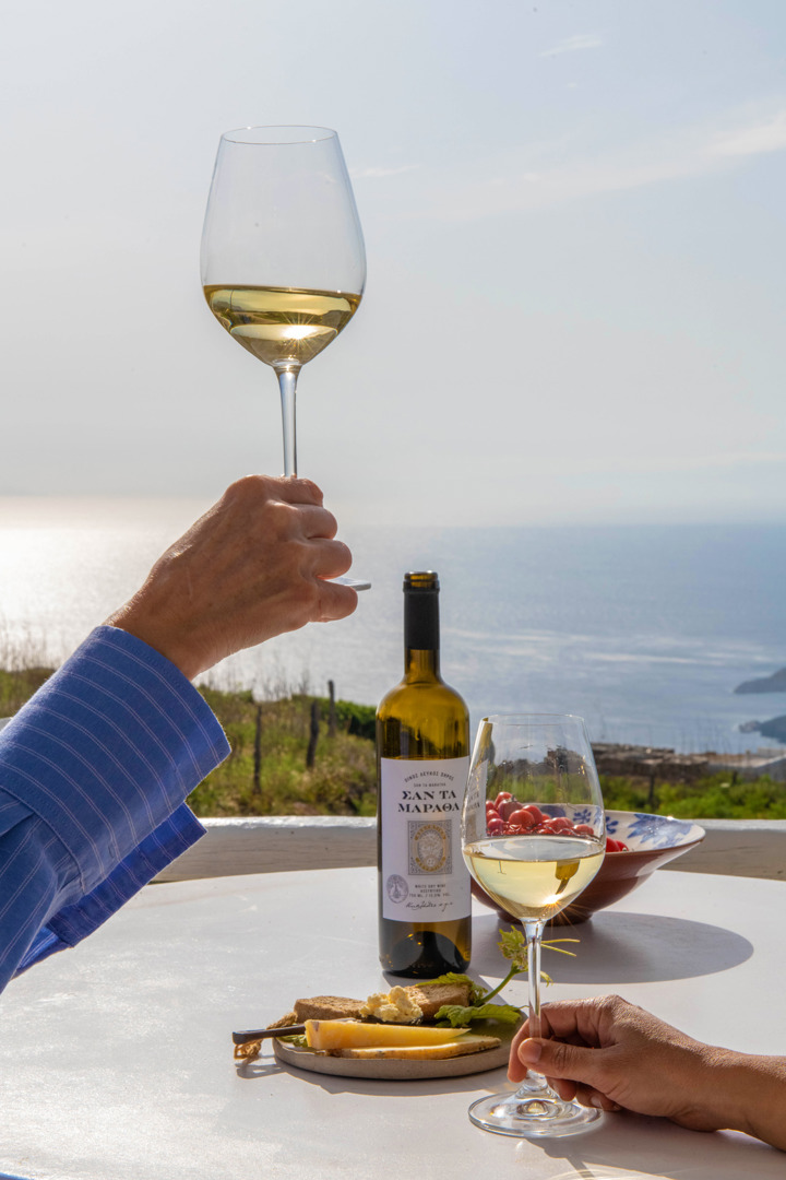 CHATZAKIS WINERY (9) Country Hike Syros Wine Tasting Sitegallery