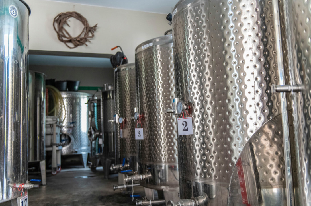 Cycladic wine tasting in Syros