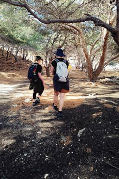 IMG 20251009 102937Syros Site Gallery