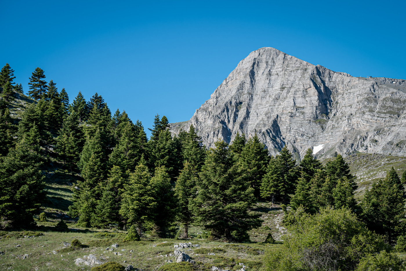 Kalavrita Unveiled: 6 Facts You Need to Know | Trekking Hellas