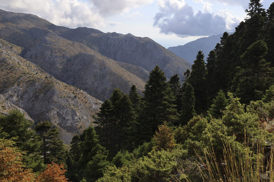 Hiking Mount Pyxarias Evia Greece 5